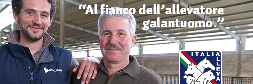 Schermata 2013-09-20 alle 12.05.33.png Schermata 2013-09-20 alle 12.05.33.png