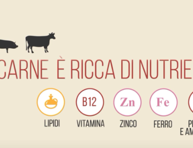 Schermata 2015-08-10 alle 17.49.46.png Schermata 2015-08-10 alle 17.49.46.png
